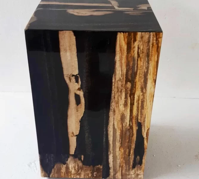 Petrified Wood Holow Stool2