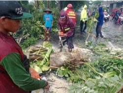 Polisi dan TNI Bersama Warga Gotong Royong Tangani Bencana Angin Kencang Landa 3 Desa di Tulungagung