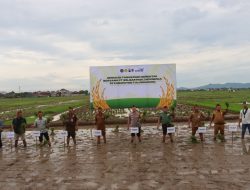 Polres Tulungagung Kerjasama Dengan PT Wilmar Padi Indonesia dan Pemerintah Desa Lakukan Tanam Padi